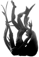 The Problem of Evil: Exonerating God