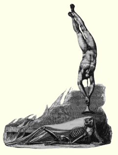 Mors Stupebit - Death has struck