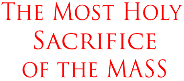 The Most Holy Sacrifice of the Mass: a Primer for Clueless Catholics