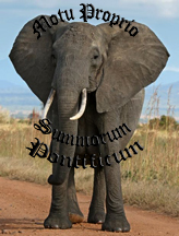 Summorum Pontificum the Elephant in the Room that no one is talking About