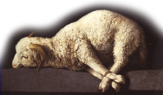 The Sacrificial  Lamb of God — Jesus Christ