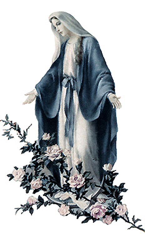 Mary, Mother of God, please obtain for us the grace of a happy death, and greet us in our last hour. Amen.